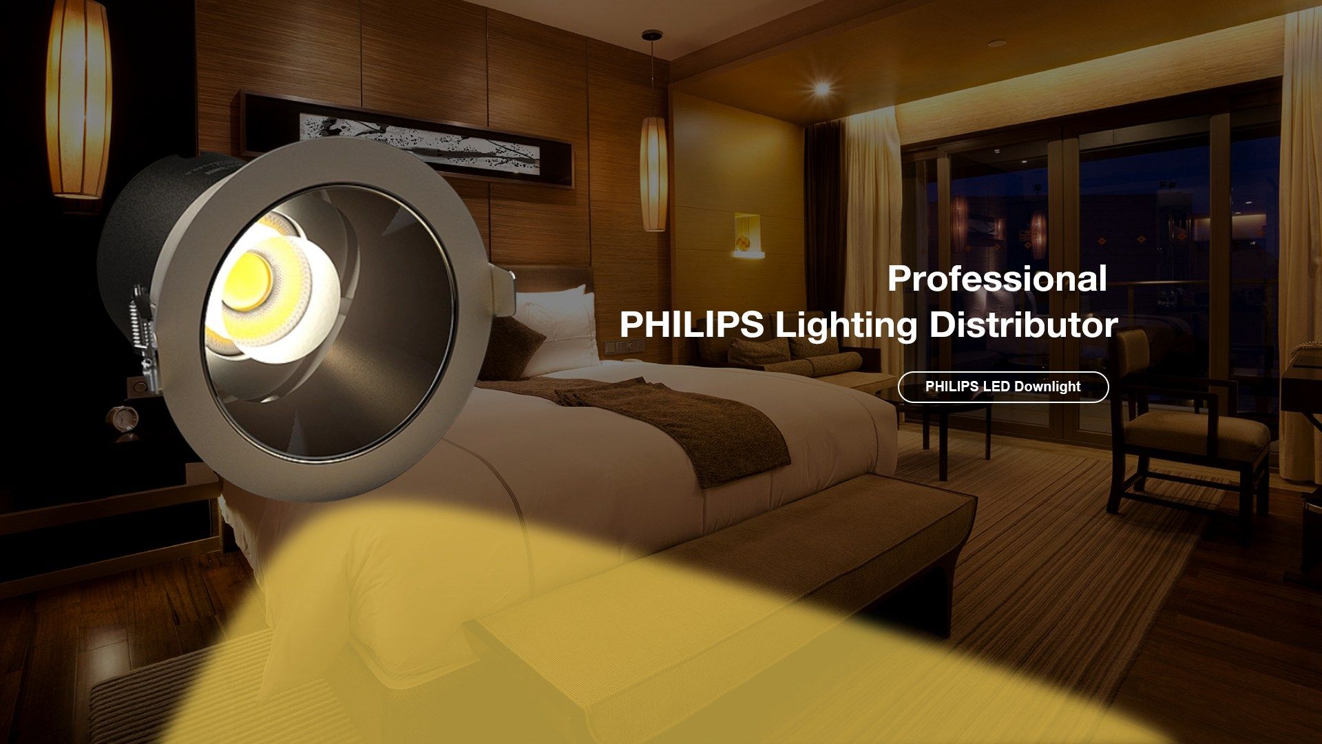 PHILIPS Downlight/Spot Light