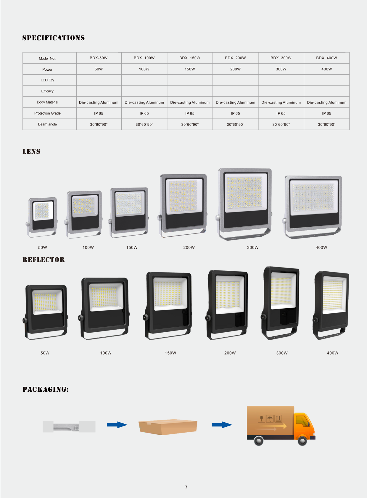 PHILIPS OEM LED Flood Light BMT-BFL22B Ip65 Aluminum Outdoor Waterproof Light