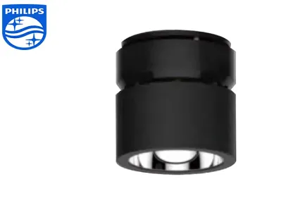 Flood Lights vs. Spot Lights: What's the Difference?